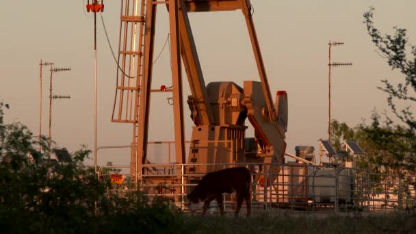 Uhd Pompjack Contragewichten Draaien Bij Zonsondergang — Stockvideo