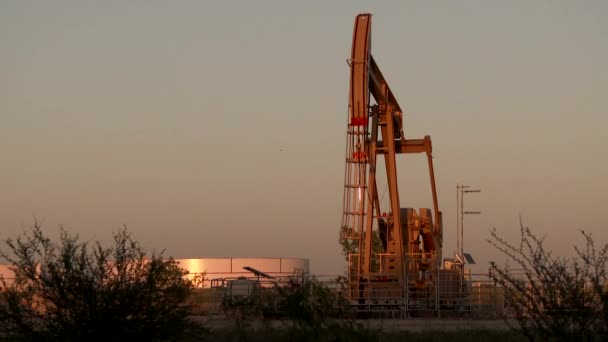 Uhd Asintiendo Burro Atardecer Con Tanque Gas Fondo — Vídeos de Stock