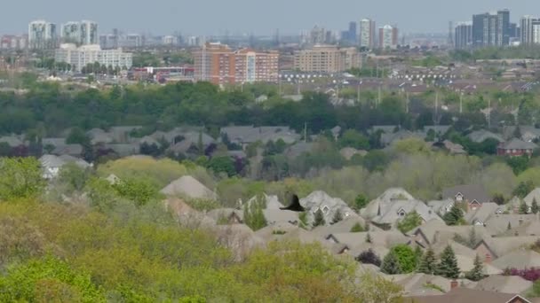 Türkei Geier Fliegt Niedriger Höhe Mit Häusern — Stockvideo