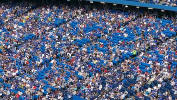 Media Affluenza Pubblico Nello Stadio Con Posti Sedere Blu — Video Stock