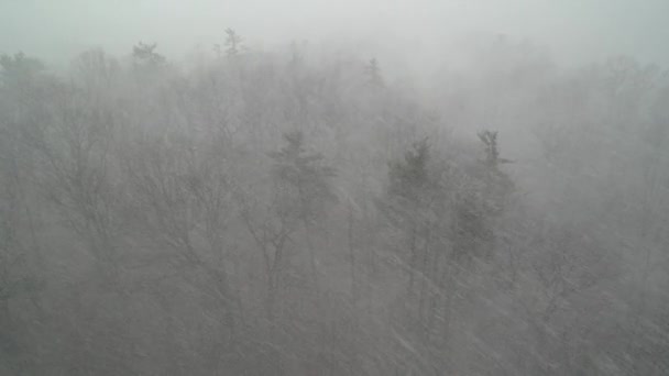 Schwerer Schneesturm Aus Der Vogelperspektive — Stockvideo