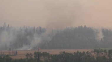 Tepe tarafında vadi boyunca yoğun duman koşullarıyla ürkütücü bir orman manzarası.