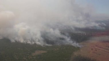Çam ormanları ve tarlalarda yanan orman yangınlarının helikopterinden görüntü