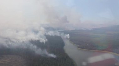 Kanada ormanından yükselen çok sayıda duman sütunu helikopterden görülüyor.