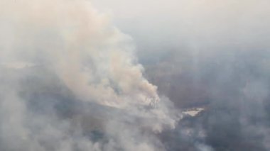 Küçük bir gölün yakınındaki büyük yangınlardan yoğun duman yükseliyor.