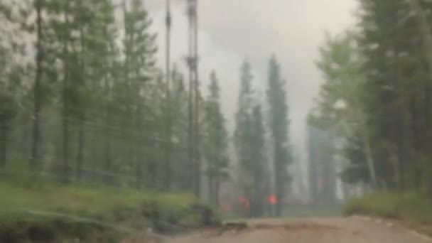 Windshield View Truck Driving Logging Road Wildfires — Stock Video