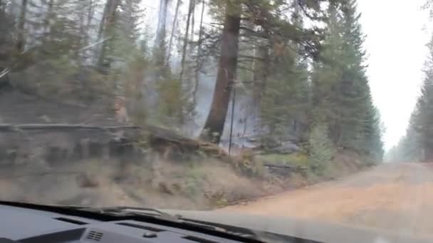 Pohled Lesní Požáry Vidět Přes Čelní Sklo Kamionu Při Jízdě — Stock video