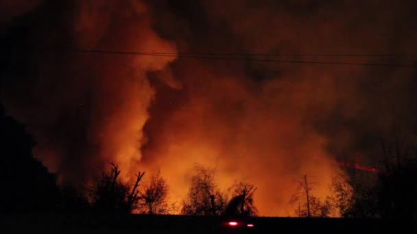 Duża Chmura Pomarańczowego Świecącego Dymu Oświetlona Płomieniem Brzucha Drzewami Nocy — Wideo stockowe