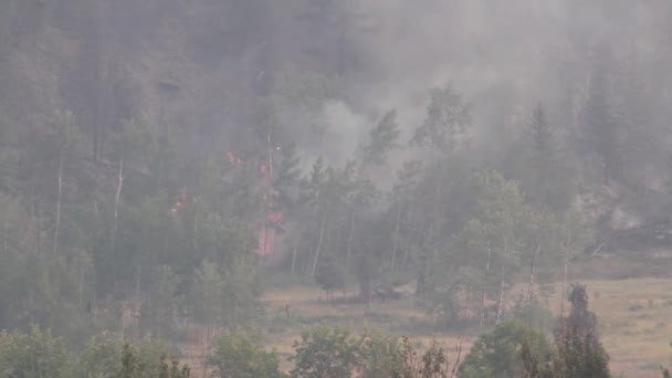 Flecken Brennender Bäume Der Ferne Durch Verrauchte Brandbedingungen Gesehen — Stockvideo