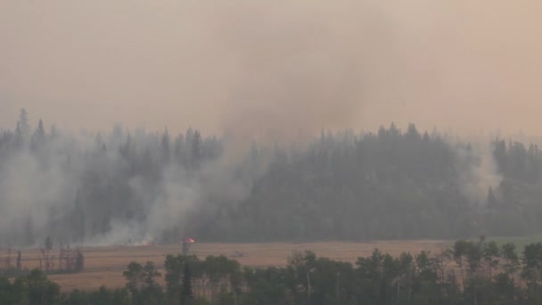 Niesamowity Widok Lasu Wzgórzu Ciężkimi Warunkami Dymu Przez Dolinę — Wideo stockowe