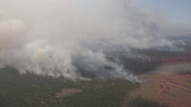 Uitzicht Vanuit Een Helikopter Van Een Bosbrand Brandend Door Dennenbossen — Stockvideo