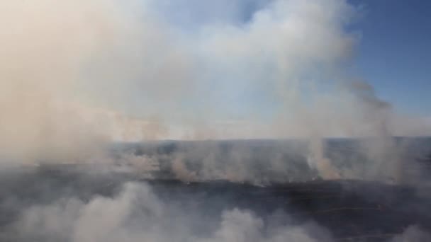 Humo Denso Procedente Incendios Forestales Observados Desde Helicóptero Volador Ruidoso — Vídeos de Stock