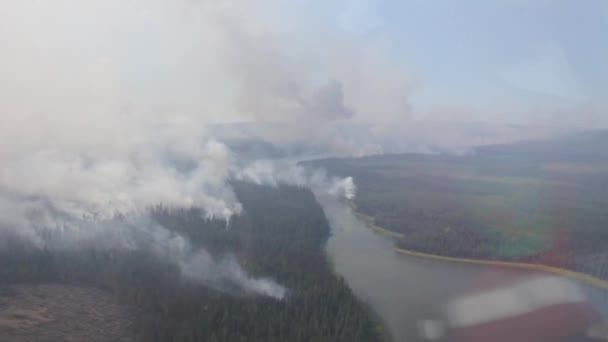 Multiple Smoke Columns Rising Canadian Forest Viewed Chopper — Stock Video