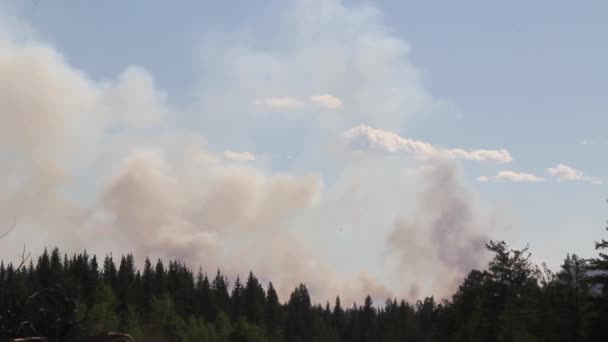 Světlý Kouř Stoupá Lesního Požáru Během Dne Několika Dešťovými Mraky — Stock video