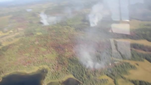 Parches Bosque Arden Mientras Otros Resisten Propagación Incendio Forestal — Vídeo de stock