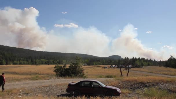 Public Safety Officer Walks Foreground Forest Fire Creating Large Smoke — Stock Video