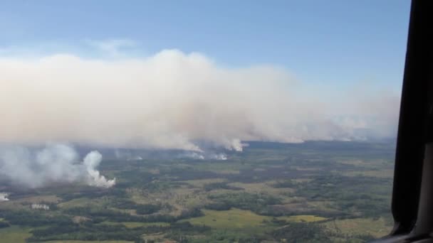 Важкі Стовпчики Диму Створені Пожежею Здіймаються Над Північноамериканським Лісом — стокове відео