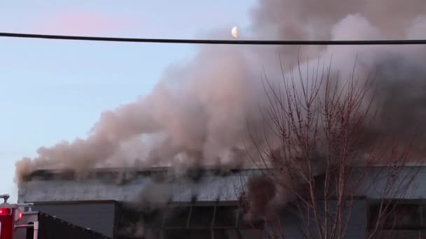 Szary Toksyczny Dym Powstający Budującego Ognia Księżycem Tle — Wideo stockowe