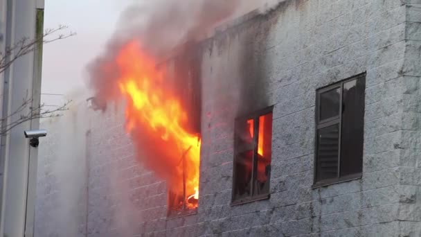 商業ビルの火災の間に二つの窓の一つから出てくる激しい炎 — ストック動画