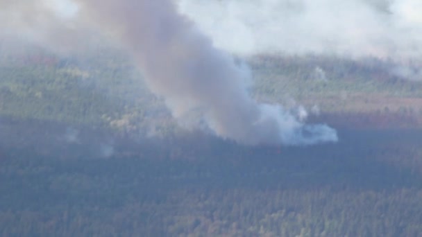 Vista Aérea Columna Humo Que Eleva Los Incendios Forestales Bosque — Vídeo de stock