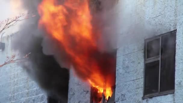 Fuoco Che Squarcia Edificio Creando Una Fiamma Pesante Che Brucia — Video Stock