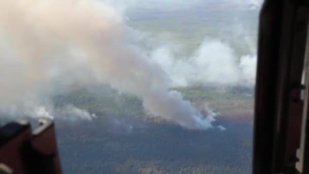 Incendios Forestales Vistos Desde Helicóptero Volador Con Ventana Abierta Durante — Vídeos de Stock