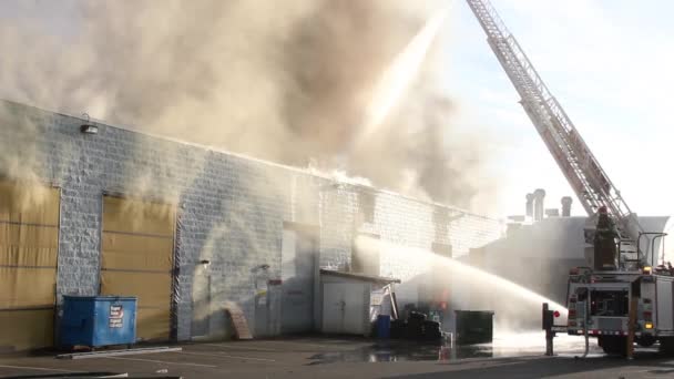 Brandbekämpfung Der Rückseite Des Gebäudes Mit Laderampen Die Tagsüber Flammen — Stockvideo