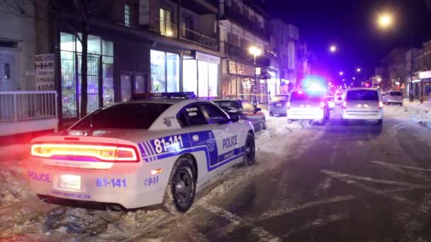 警察の車のダッジ充電器雪の上の夜 — ストック動画