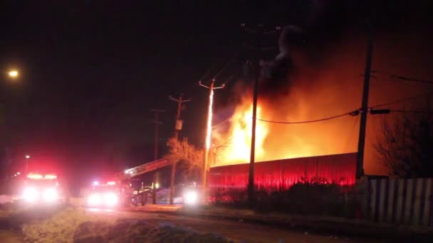 Firemen Attending Large Fire Spreading Power Pole — Stock Video