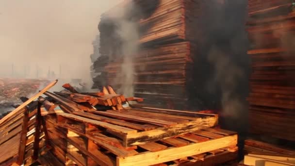 大きな庭の火災と戦う消防士にカメラとパンの近くに燃えるパレット — ストック動画