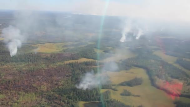 Széles Körben Elterjedt Erdőtűz Füstoszlopainak Légi Rálátása Repülésre — Stock videók