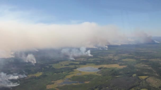 Incendio Boschivo Larga Scala Con Fumo Visto Dall Elicottero Volo — Video Stock