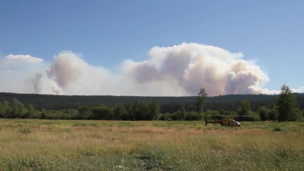 Obrovský Oblak Kouře Nad Lesem Při Požáru Vrtulníkem — Stock video