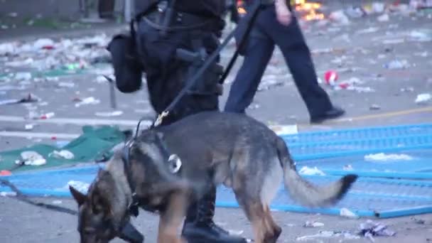 Cane Poliziotto Annusare Terreno Durante Rivolta Con Fiamme Sullo Sfondo — Video Stock