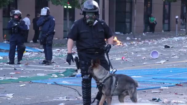 Policejní Pes Vodítku Centru Města Zpustošen Násilnými Nepokoji — Stock video