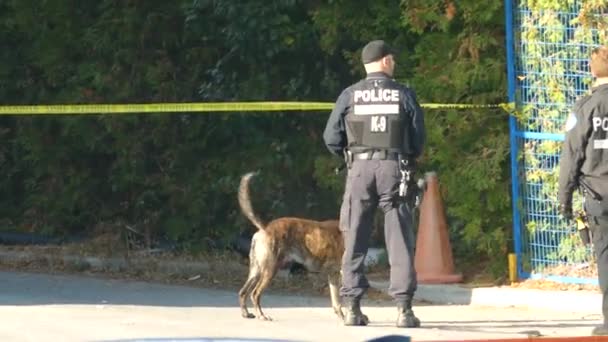 Perro Policía Esperando Para Empezar Sondear Área Escena Del Crimen — Vídeo de stock