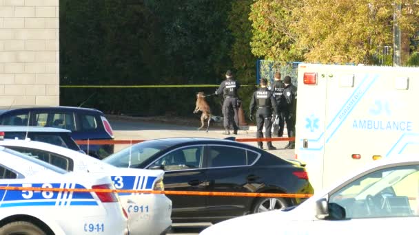 Briefing Mellan Poliser Och Officer Med Spvm Montreal Kanada — Stockvideo
