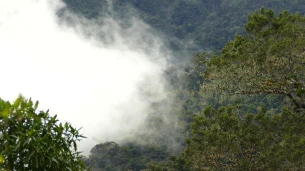 Rotação Lenta Formação Nuvens Dentro Das Exuberantes Montanhas Floresta Nuvens — Vídeo de Stock