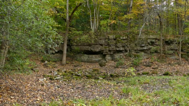 Beautiful Natural Pond Query Lush Forest Early Autumn — Stock Video