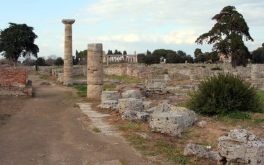 İtalya 'nın antik Yunan kenti Paestum' da antik tapınakların kalıntıları korunmuş. 