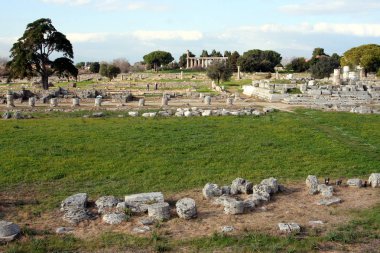 İtalya 'nın antik Yunan kenti Paestum' da antik tapınakların kalıntıları korunmuş. 