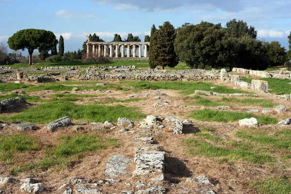 Talya Nın Antik Yunan Kenti Paestum Antik Tapınakların Kalıntıları Korunmuş — Stok fotoğraf