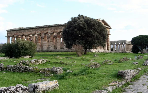 Paestum Starożytne Greckie Miasto Włoszech Dobrze Zachowanymi Ruinami Zabytkowych Świątyń — Zdjęcie stockowe