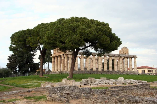 Talya Nın Antik Yunan Kenti Paestum Antik Tapınakların Kalıntıları Korunmuş — Stok fotoğraf