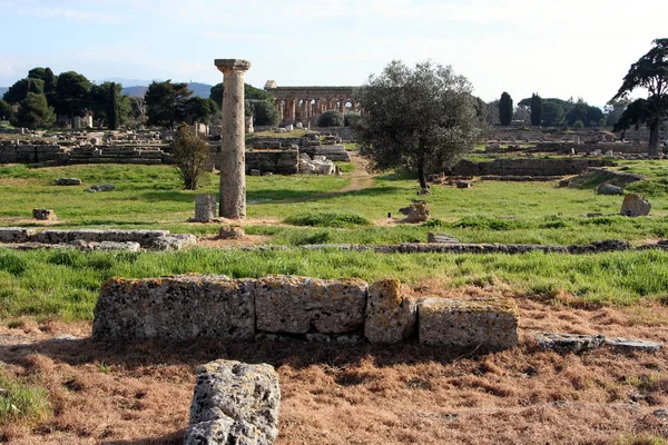Paestum Antigua Ciudad Griega Italia Con Ruinas Bien Conservadas Templos — Foto de Stock