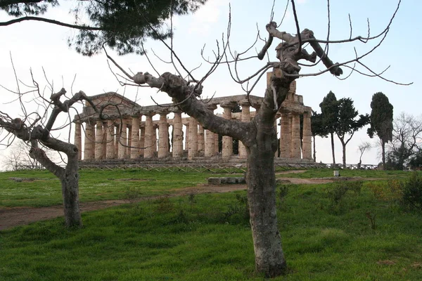 Paestum Starożytne Greckie Miasto Włoszech Dobrze Zachowanymi Ruinami Zabytkowych Świątyń — Zdjęcie stockowe