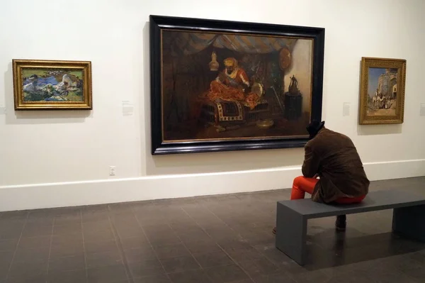 Brooklyn Müzesi Sanat İzleyicisi, New York, Usa