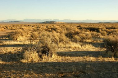Günbatımında Mojave Çölü manzarası, Kaliforniya