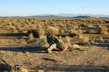 Günbatımında Mojave Çölü manzarası, Kaliforniya