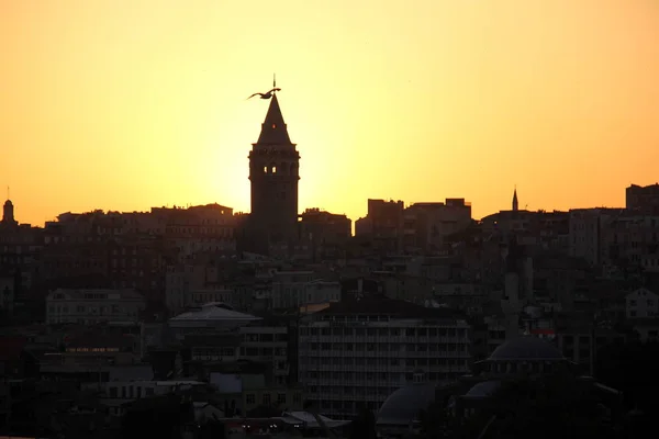 Silhouette Dello Skyline Della Città Con Galata Tower Gabbiano Volante — Foto Stock